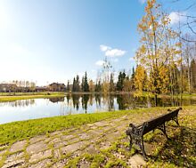 Дом из бруса в лесу у озера