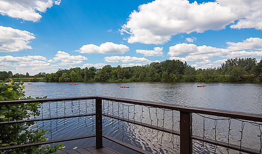 Особняк в КП Раздоры-2