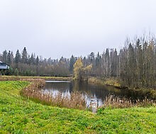 Уютный дом в Дмитровском Полесье