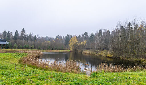 Уютный дом в Дмитровском Полесье