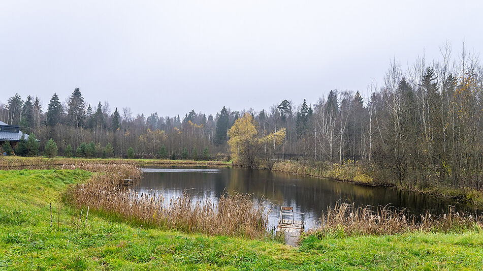 Уютный дом в Дмитровском Полесье