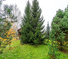 Уютный дом в Дмитровском Полесье