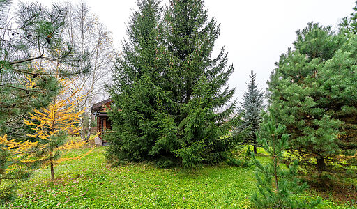 Уютный дом в Дмитровском Полесье