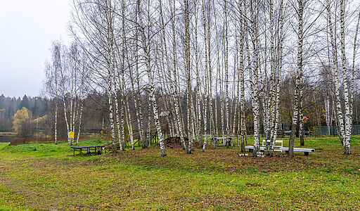 Уютный дом в Дмитровском Полесье