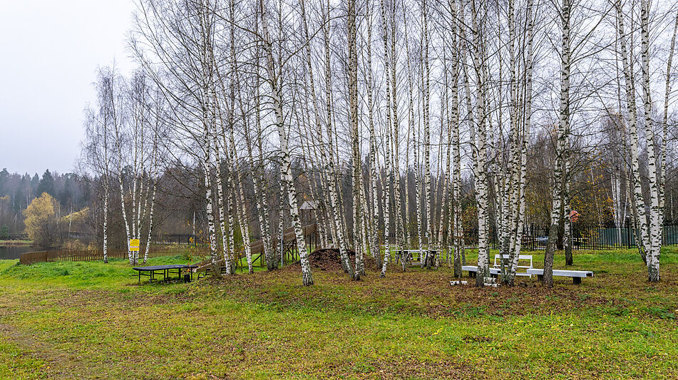 Уютный дом в Дмитровском Полесье