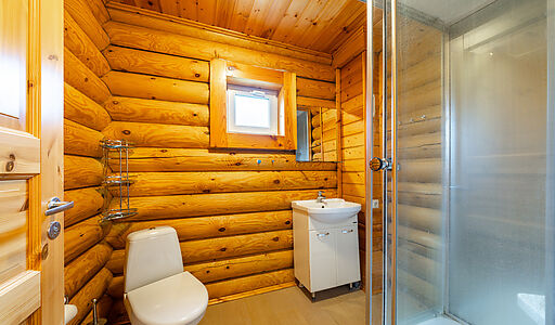 Уютный дом в Дмитровском Полесье