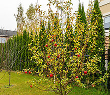 Дом под ключ в КП Новые Вешки