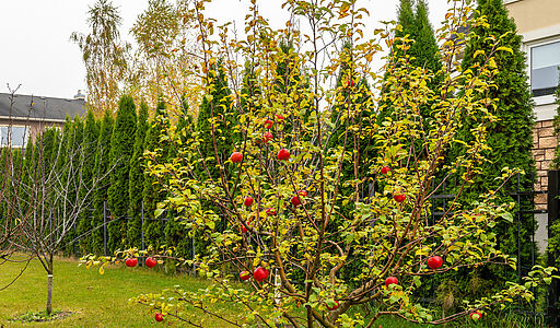 Дом под ключ в КП Новые Вешки