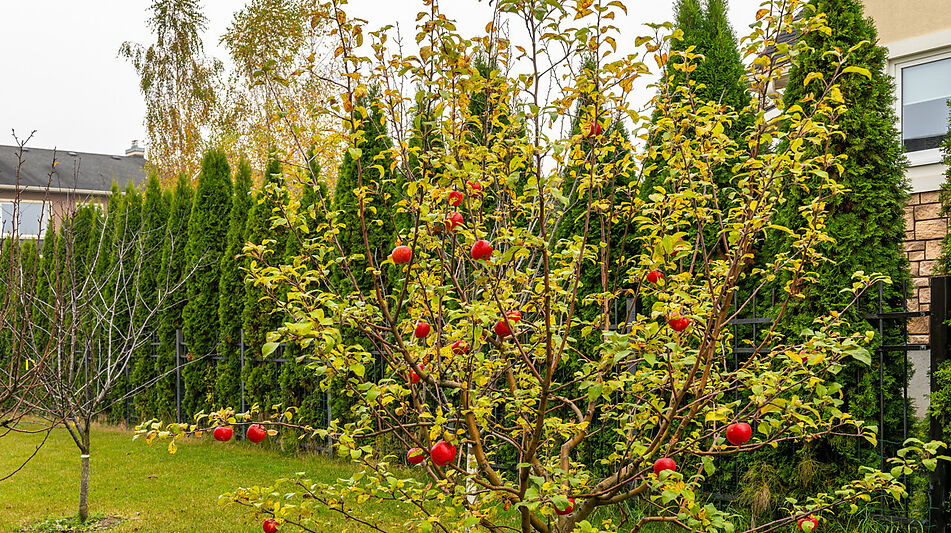 Дом под ключ в КП Новые Вешки