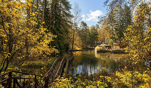 Дом на пруду в Летчике-испытателе