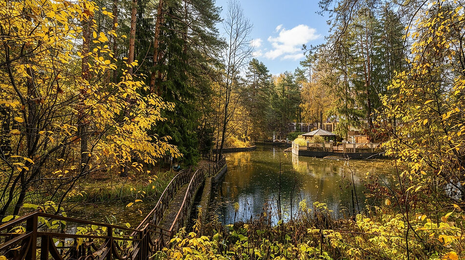 Дом на пруду в Летчике-испытателе