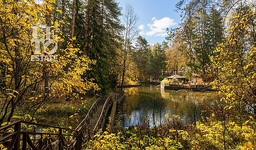 Дом на пруду в Летчике-испытателе