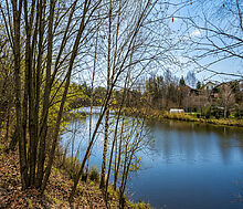 Горетовка СНТ