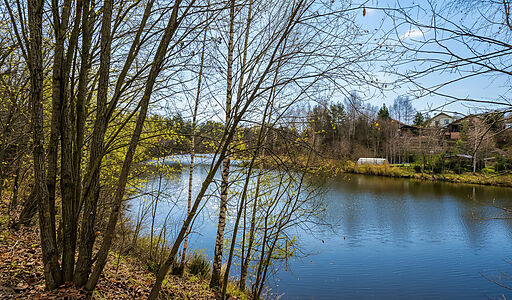 Горетовка СНТ