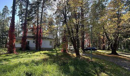 Лесной участок в Новогорске