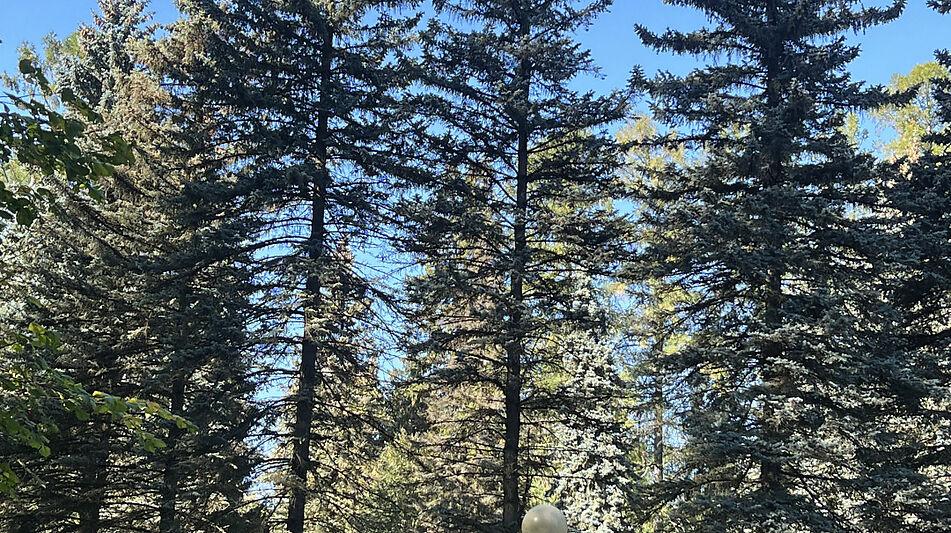 Лесной участок в Новогорске