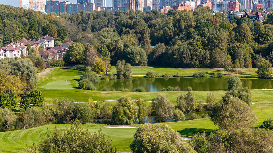 Лесной участок в Новогорске