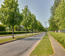 Новый дом в КП Мэдисон парк