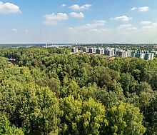 Ореховая бухта