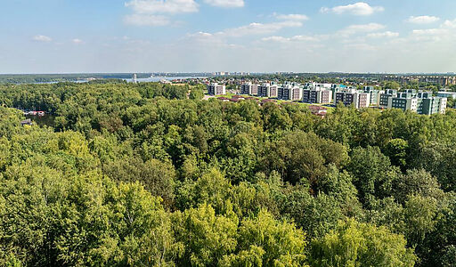 Ореховая бухта