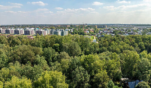 Ореховая бухта