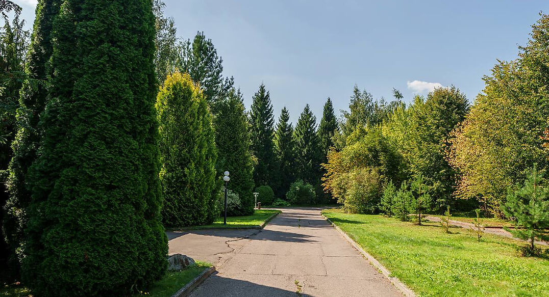 Ореховая бухта