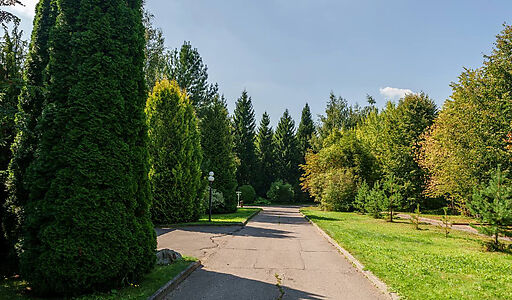 Ореховая бухта