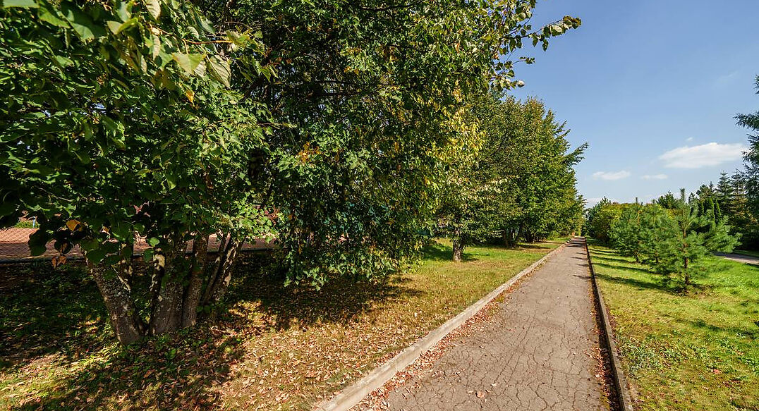 Ореховая бухта