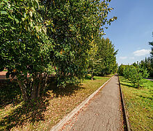 Ореховая бухта