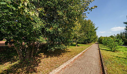 Ореховая бухта