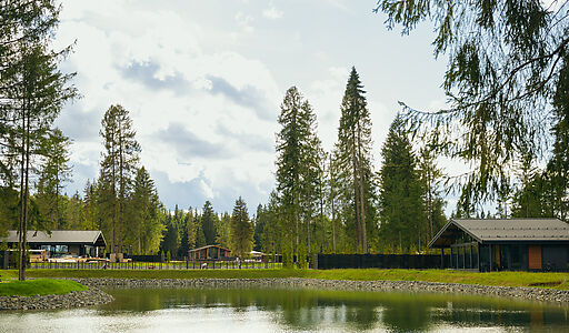 Лесной участок в КП Ели Эстейт