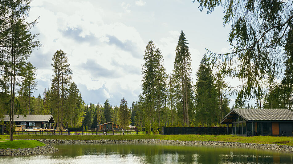 Лесной участок в КП Ели Эстейт