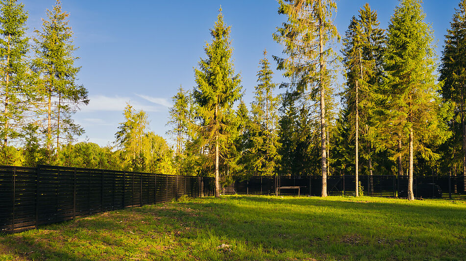 Лесной участок в КП Ели Эстейт