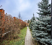 Чистые пруды (Крёкшино)