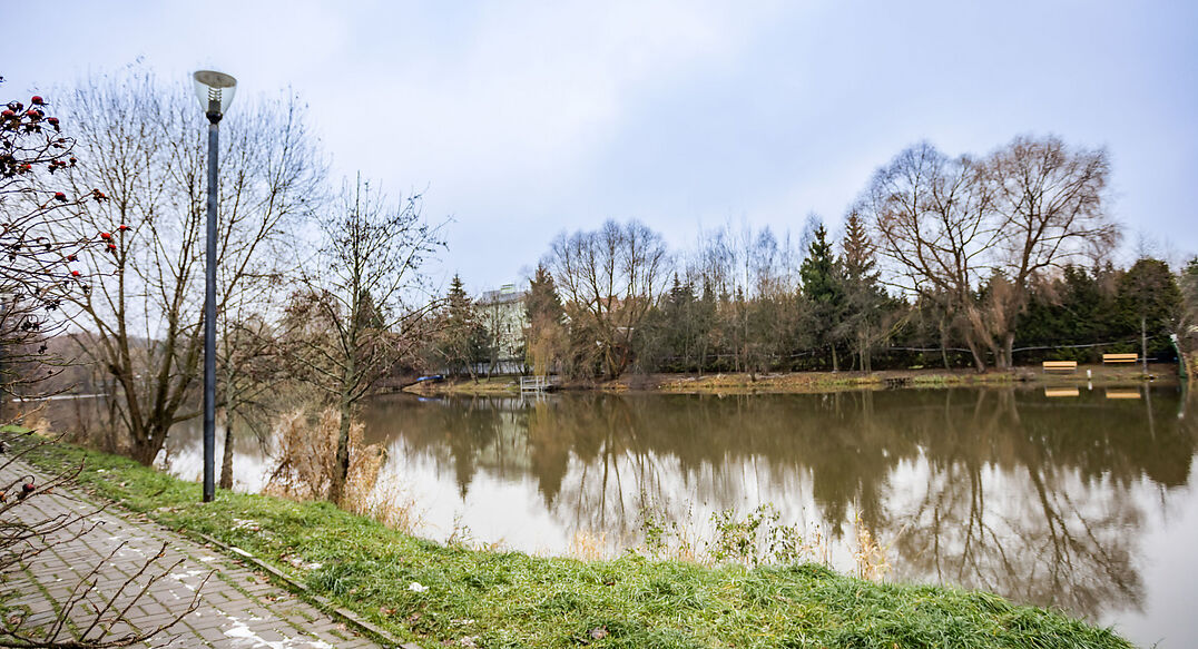 Чистые пруды (Крёкшино)