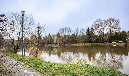 Чистые пруды (Крёкшино)