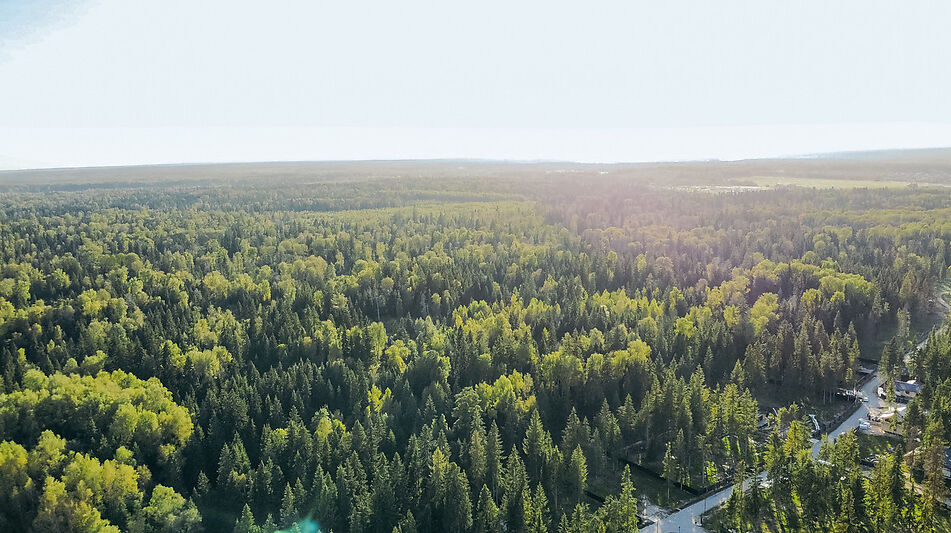 Участок у воды в КП Ели Эстейт