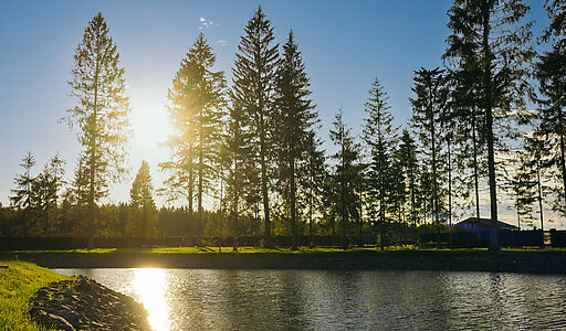 Участок у воды в КП Ели Эстейт