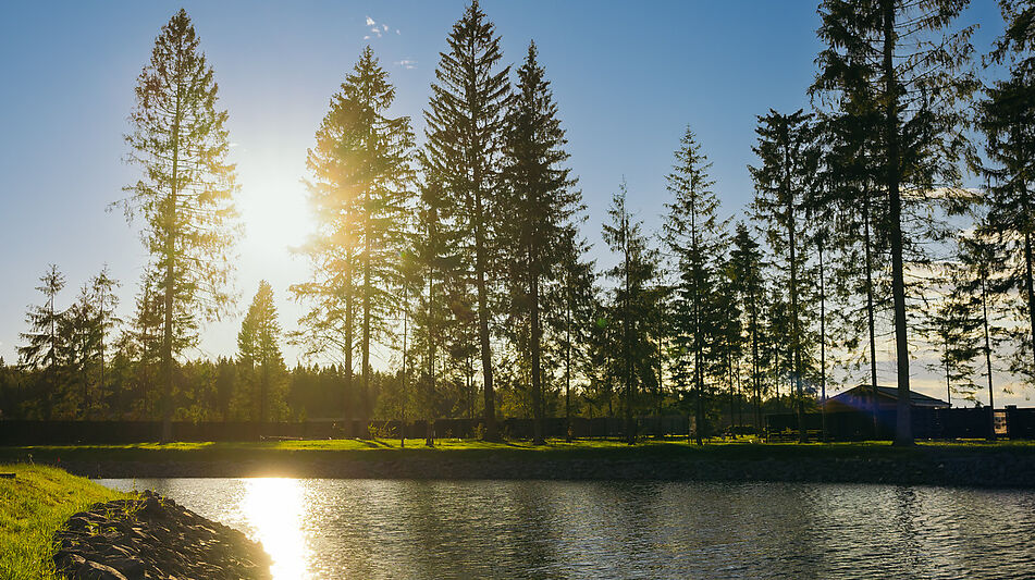 Участок у воды в КП Ели Эстейт
