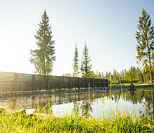 Участок у воды в КП Ели Эстейт