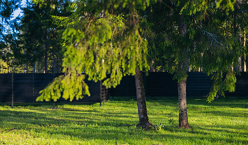 Лесной участок в КП Ели Эстейт