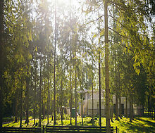 Лесной участок в КП Ели Эстейт