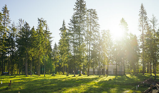 Лесной участок в КП Ели Эстейт
