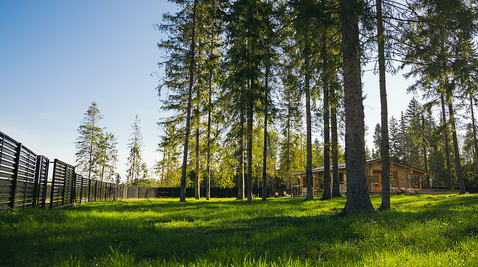 Лесной участок в КП Ели Эстейт