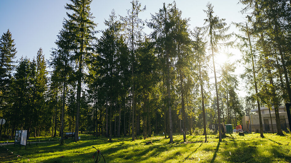 Лесной участок в КП Ели Эстейт