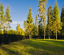 Лесной участок в КП Ели Эстейт