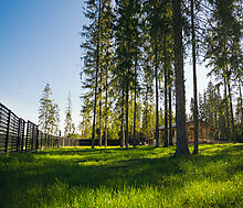 Лесной участок в КП Ели Эстейт