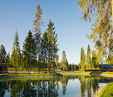 Лесной участок в КП Ели Эстейт