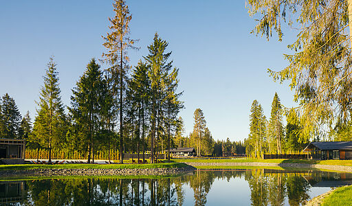 Лесной участок в КП Ели Эстейт