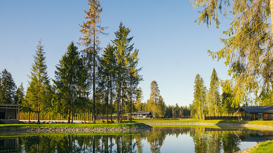 Лесной участок в КП Ели Эстейт